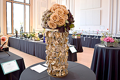 TIMELESS TACOMA TREASURES